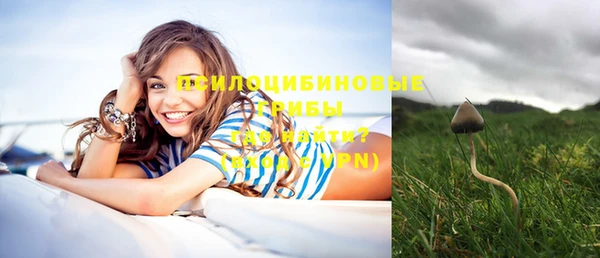 твердый Володарск