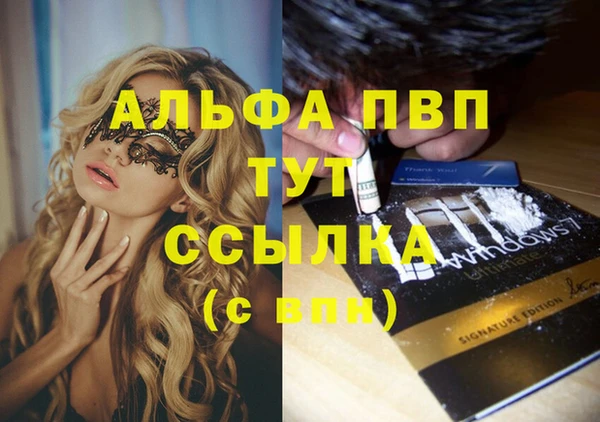 дживик Болотное
