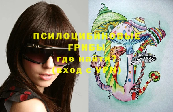 твердый Володарск